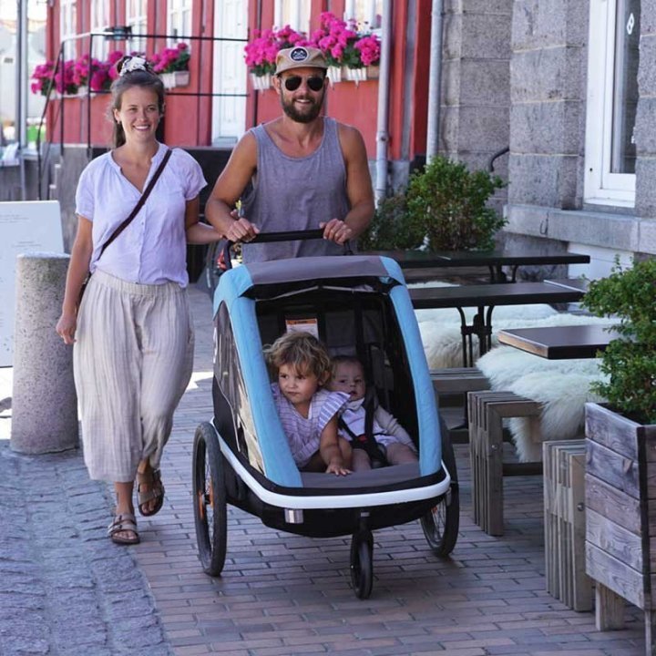 Remorque enfant velo Hamax pour 2 Enfants - Avenida - vert olive – Image 4